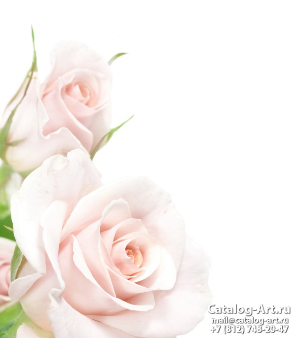 Натяжные потолки с фотопечатью - Розовые розы 24